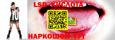 стаф Бузулук