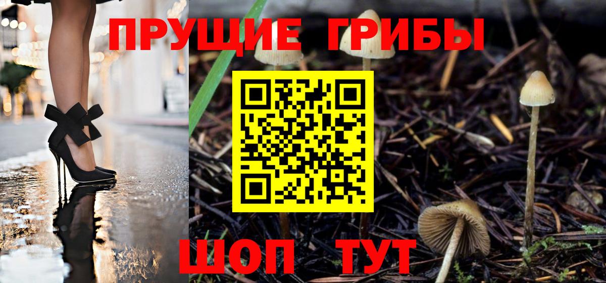 Ростов-на-Дону  Псилоцибиновые грибы Magic Shrooms  Вход с VPN 