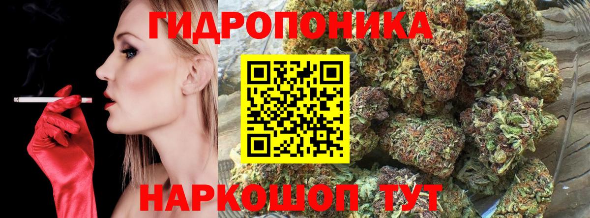 Каннабис OG Kush Ростов-на-Дону